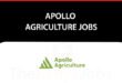 Apollo Agriculture Jobs