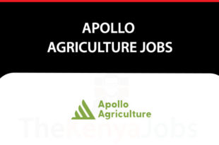 Apollo Agriculture Jobs