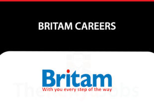 Britam Careers