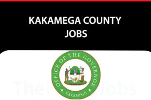 Kakamega County Jobs