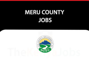 Meru County Jobs