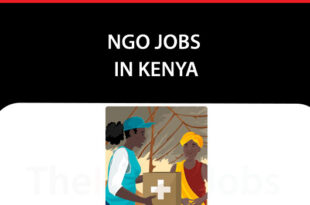 NGO Jobs in Kenya