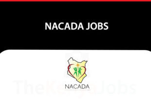 NACADA Jobs