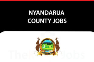 Nyandarua County Jobs
