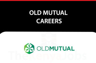 Old Mutual Careers