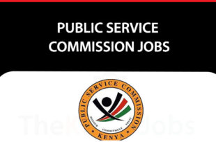 Public Service Commission Jobs