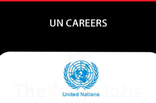 UN Careers