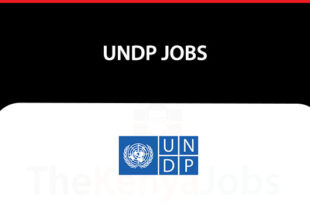 UNDP Jobs