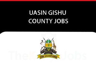 Uasin Gishu County Jobs