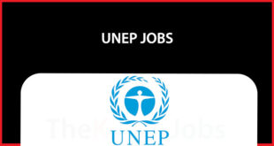UNEP Jobs