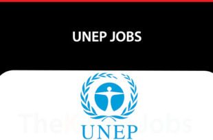 UNEP Jobs
