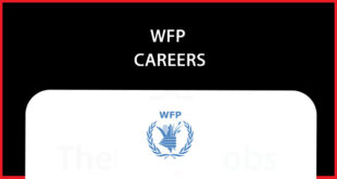 WFP Careers
