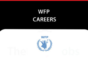 WFP Careers